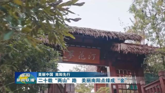 美丽中国 南阳先行 | 二十载“两山”路 美丽南阳点绿成“金”