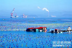奇观天下 | 北回归线上有片“彩虹海” 广东省唯一的海岛县图片