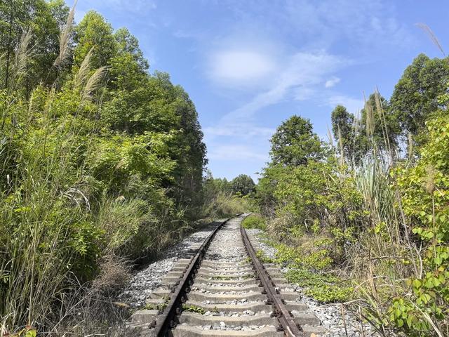 带小朋友去贵州茂兰,连环探洞加漏斗原始森林徒步二日游全攻略!
