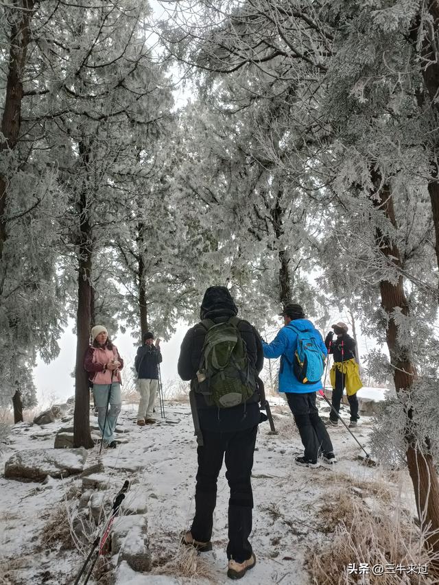 无为在歧路，何处寻雾凇