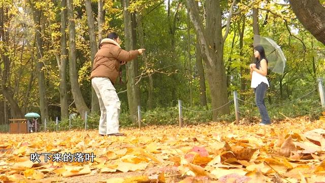 2.5万人！昆明植物园开启“人从众叕”模式，你们被枫叶刷屏了吗？