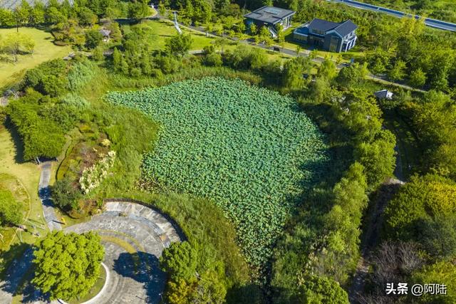 台州最被市民游客忽视的景点其实是个公园，位于三江交会的孤岛上