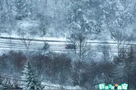 秦岭迎初雪！美成了水墨画~图片