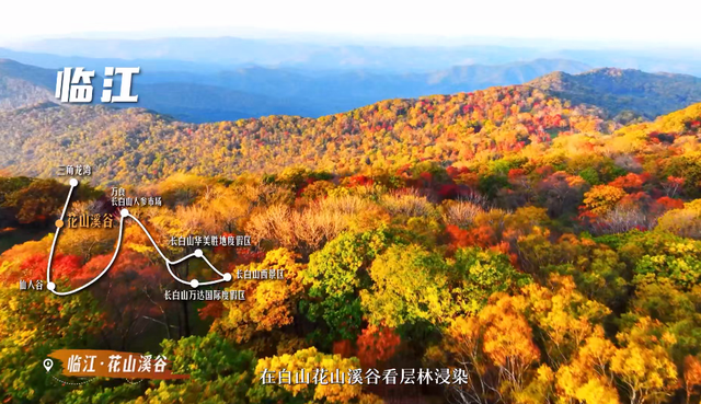 川渝旅企：对不起，这个秋天我选吉林！