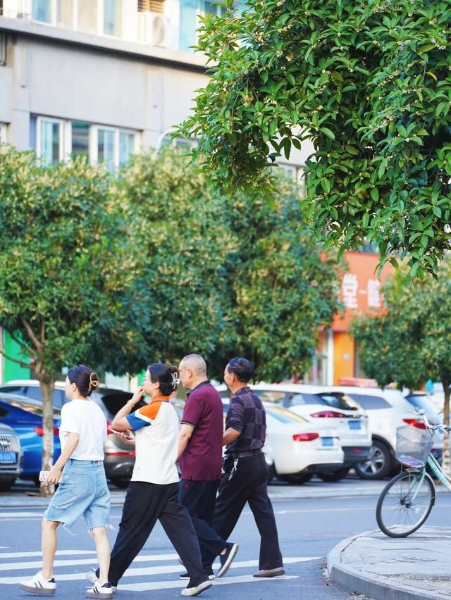 花漾邛州 | 秋意浓，满城桂雨润临邛
