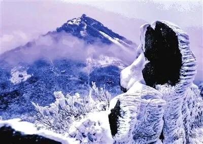 河南日报重磅推出——驿城区：全域旅游绽华彩 且以诗意共远方