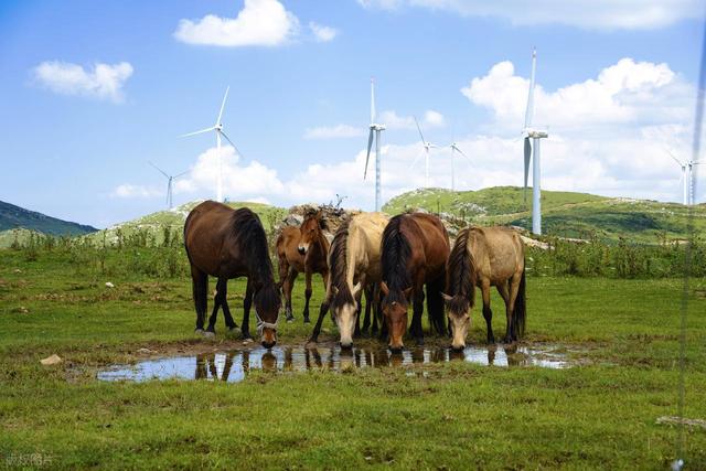 不是贵阳，不是遵义，真正让人来了不想走的贵州避暑小城被忽视了