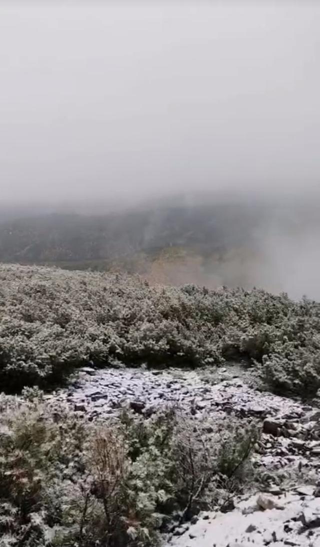 大兴安岭呼中区迎来今秋首场降雪