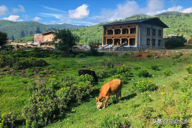 第一次来云南旅行必看！这20个旅行目的地颠覆你的认知！
