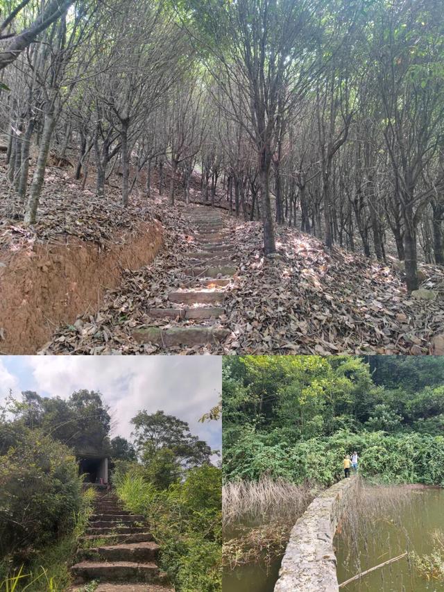 探寻巴南圣灯山上最美的古山寨，大量古迹石刻，有路线图，免费