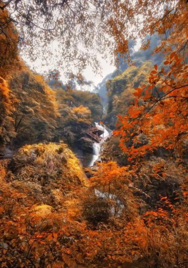 “秋假”开耍！带着小宝来雅安准没错！