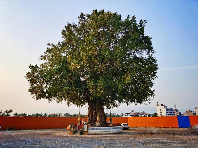 12月-3月，淡季旅行适合去6个目的地，人少景美，风景纯净
