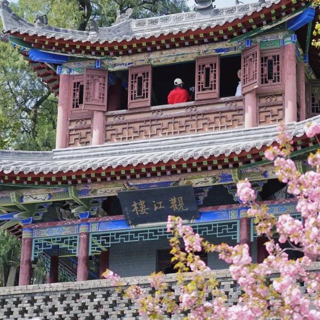 勉县三日行·追“亮”之旅——穿越千年，邂逅诸葛智慧之光