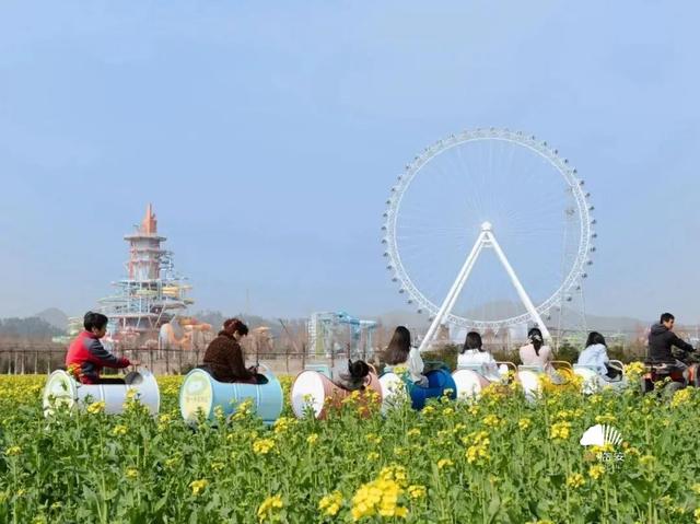 这届春假，临安申请出战！