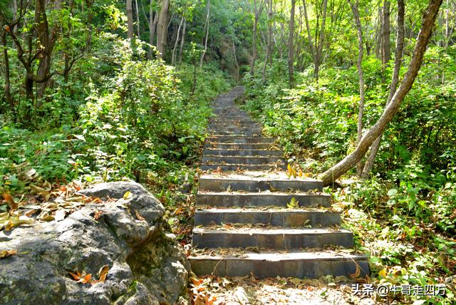 河北百草畔（上）：风动孤石悬险韵，蚁巡深岭蕴生机