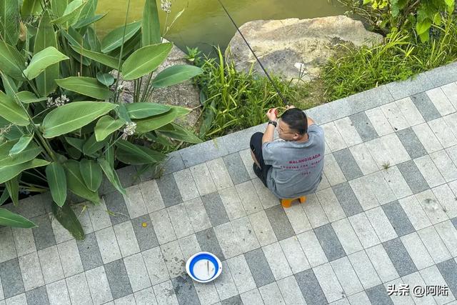 先睹为快,路过昌运文化园时进去逛了一圈,虽然不大但整得挺美