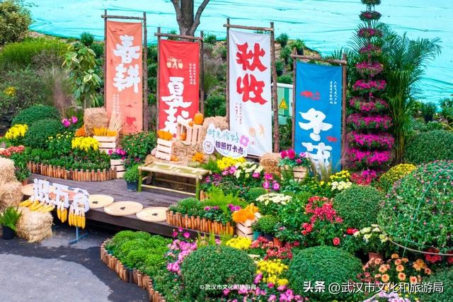 武汉今秋最大花展，限时一个月，免费！