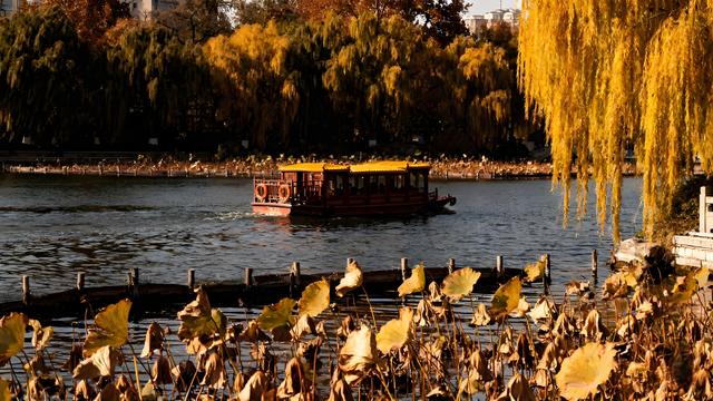 趵突泉头枫燃赤，灵岩寺畔杏堆金 —— 济南秋日行吟录