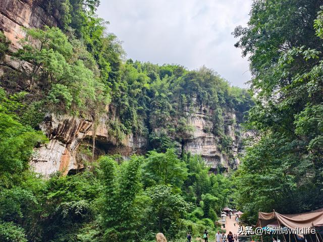 成都徒步（66）·邛崃篇⑥皮缝峡谷·皮缝古道
