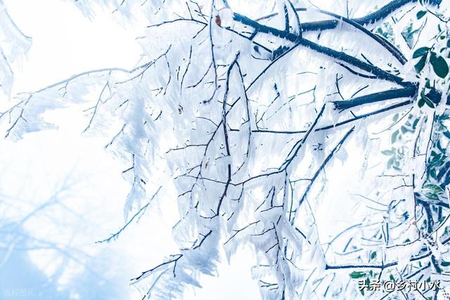 “春节冷不冷，就看大雪	”，明日大雪	，2026年春节特别冷吗？