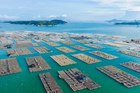看这里，隐藏着许多最强“海鲜小城”图片