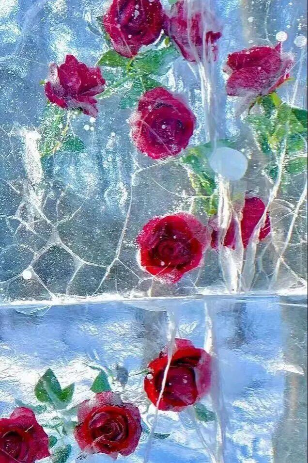 冰封玫瑰 + 冰瀑奇观的冬日浪漫，元旦冲平谷