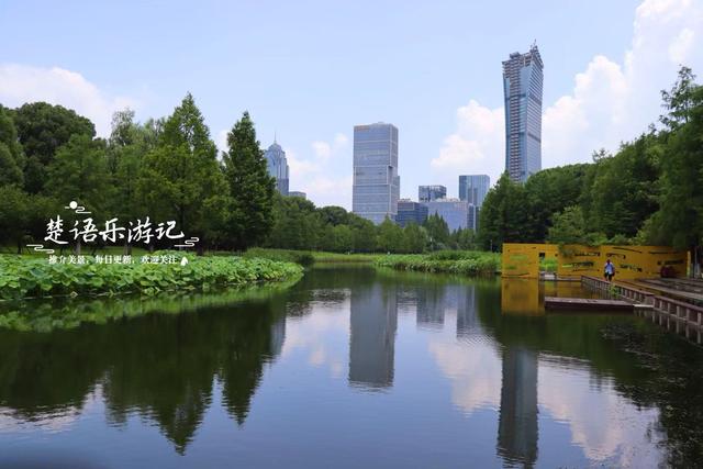 宁波这个博物馆西边的荷塘，少有人来但是景色宜人，适合周末休闲