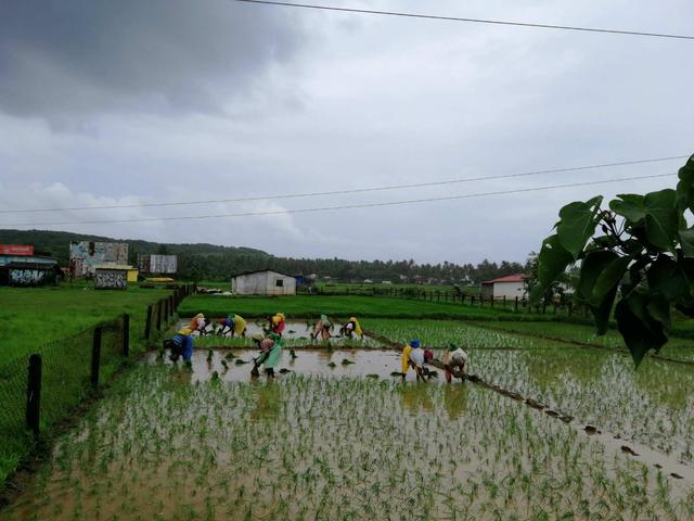 探访南印度果阿，最不像印度的印度城市