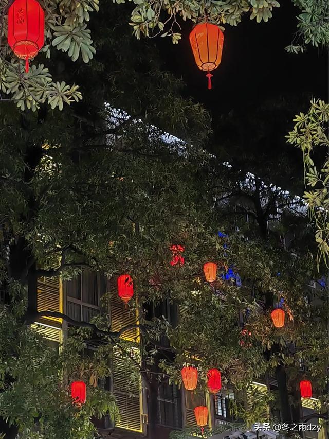 悠游泉州①:古城泉州·半城烟火篇(2025.2.5/2.6)