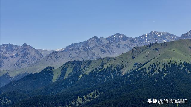 自驾北疆秘境江布拉克，雪山森林草地麦田交相辉映，媲美那拉提