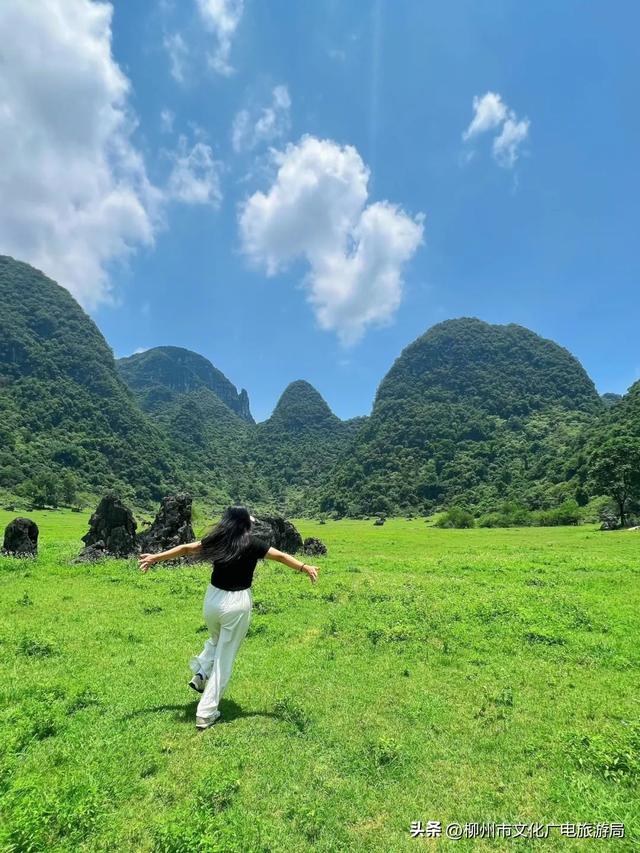 来鹿寨做夏天最爽的“野生代言人”