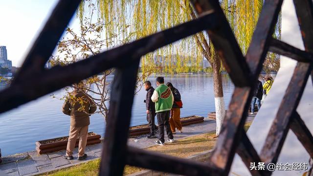 每日一景|封神赏景地·莫愁湖