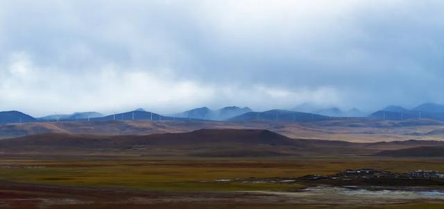 【辉煌60年·新时代西藏答卷】哲古草原：与藏野驴的秋日私语