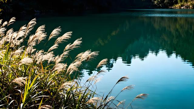 嵩岳丹枫燃暮色，汴梁金蕊醉商都 —— 郑州清秋纪行笺