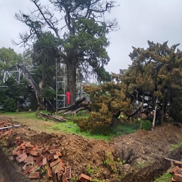 苏州十大“寿星”出炉！