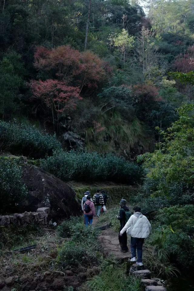 武夷山 | 我就说，这才是过日子~