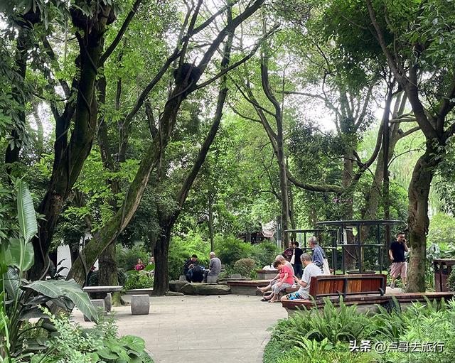 成都市内乘凉公园，风景秀美、清凉，不要门票，地铁公交可达！
