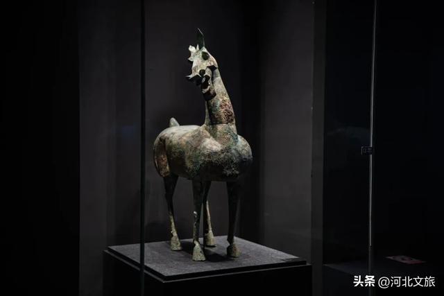 别笑！河北这些文物“显眼包”申请出战