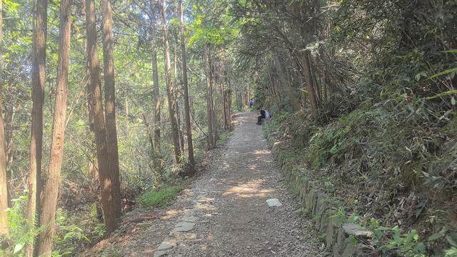 绍兴梅坞古道一条 对新手小白特别友好的线路