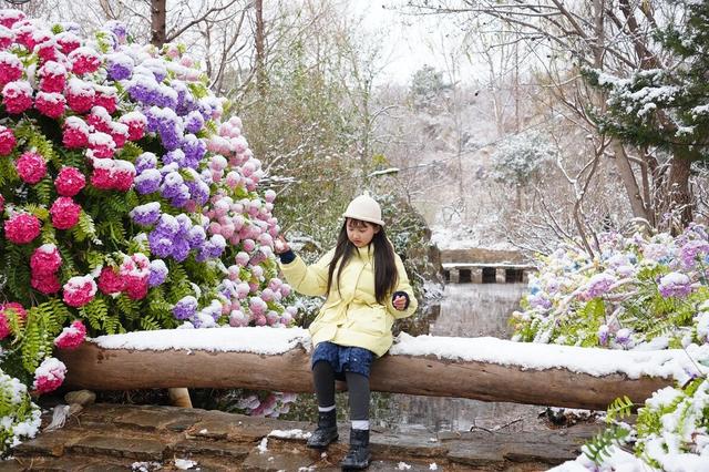 2026“马”年免费福利、吃临沂炒鸡送门票、年卡……千万别错过！