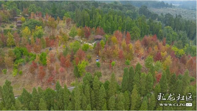 旅居云南·昆明好在（二十八）避寒游邂逅春城美