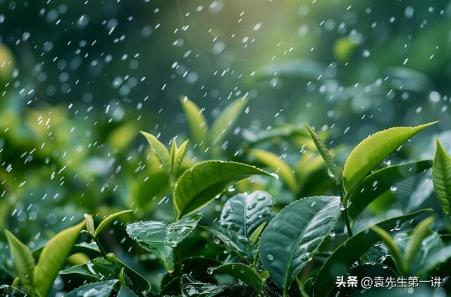 “上午立秋是空秋，下午立秋秋雨多”，今年立秋几点？有啥说法？