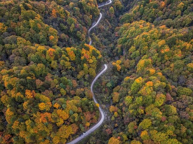 枫景如画，杏色满城！陕西这5个红叶观赏地，每一帧都是大片呈现