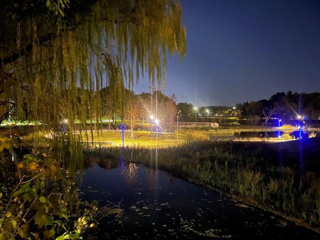 夜步嘉兴中央公园