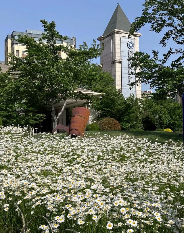 #美丽的城市 #美丽的风景