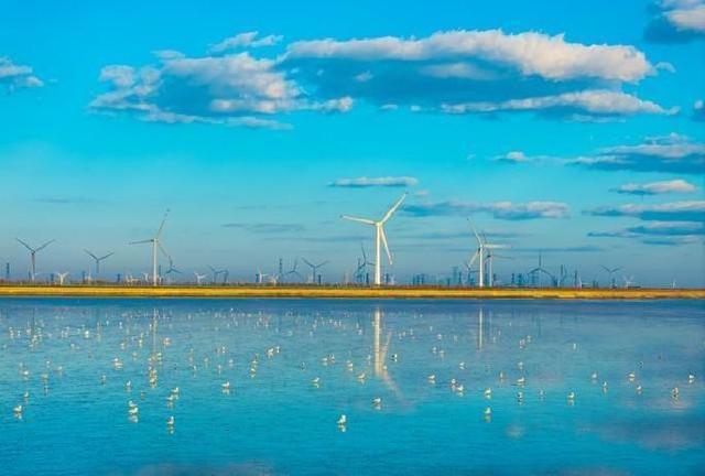 江苏杀出匹黑马！盐城凭滩涂风车火出圈！