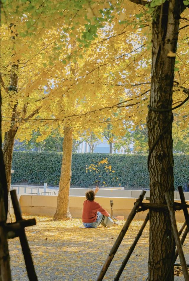 无锡这条路，又火了！