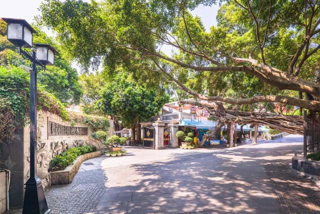 跟着欧阳娜娜住进世遗岛屿!专属福利来啦……