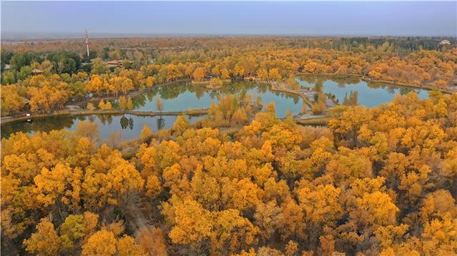 【联动宣传】期待！酒泉市与衢州市即将实现通航！