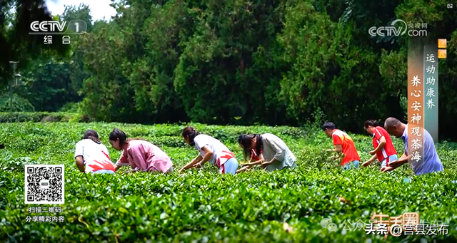 茶山牧场，入选省级典型案例！